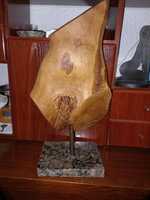 Wooden Torso